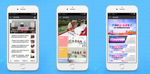 果動(dòng)科技與柳州領(lǐng)行觀達(dá)攜手打造柳州禁毒微信公眾號(hào)