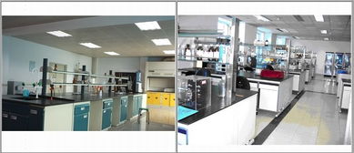 禽藥與獸藥新技術(shù)交流 以質(zhì)量為核心，共筑未來獸藥發(fā)展之路